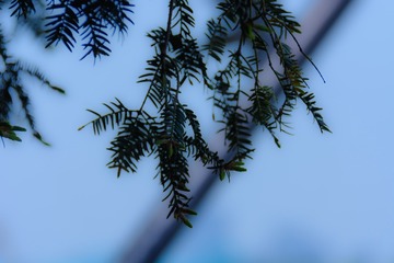 50766B07-83E0-4F22-8874-E4ABEF255313/L0/001