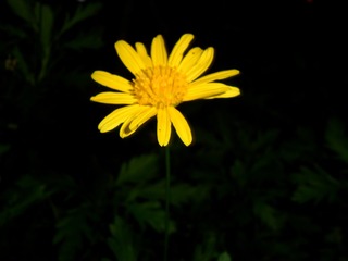 A6536B4B-C6D7-4288-A4A4-F2C71B8CAA59/L0/001