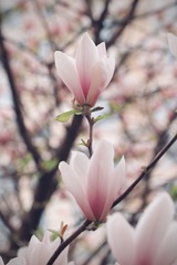 08D6BCEB-87B1-4E6E-957B-21B38C475625/L0/001