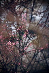 3B79ED8C-807F-4D8B-8048-170401F31E0B/L0/001