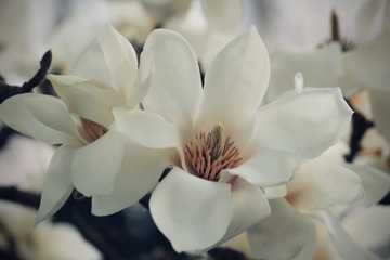 5F10B8F0-DB5E-437F-97EC-6774CC766AB7/L0/001