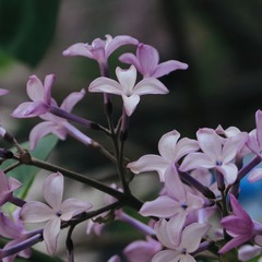 FA25B2E5-F311-45B7-BBF2-750E80E0C615/L0/001