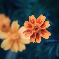 633699FF-BDF1-4602-A572-0C98B1305669/L0/001