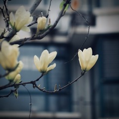 F3F0BF86-DF9D-4BA8-910B-9FBDD5C19F8A/L0/001
