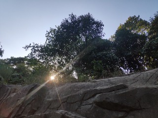 3554677