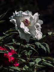 164050