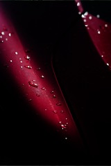 758647