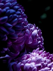140260