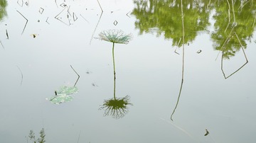 1171838