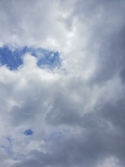 268599