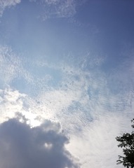 307460