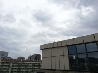 315493