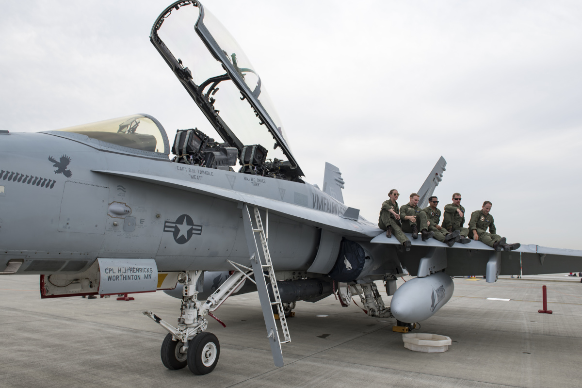 fa18d大黄蜂战斗机资料图