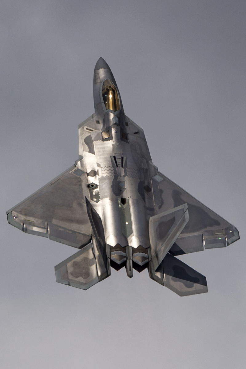 f22隐形战斗机资料图4