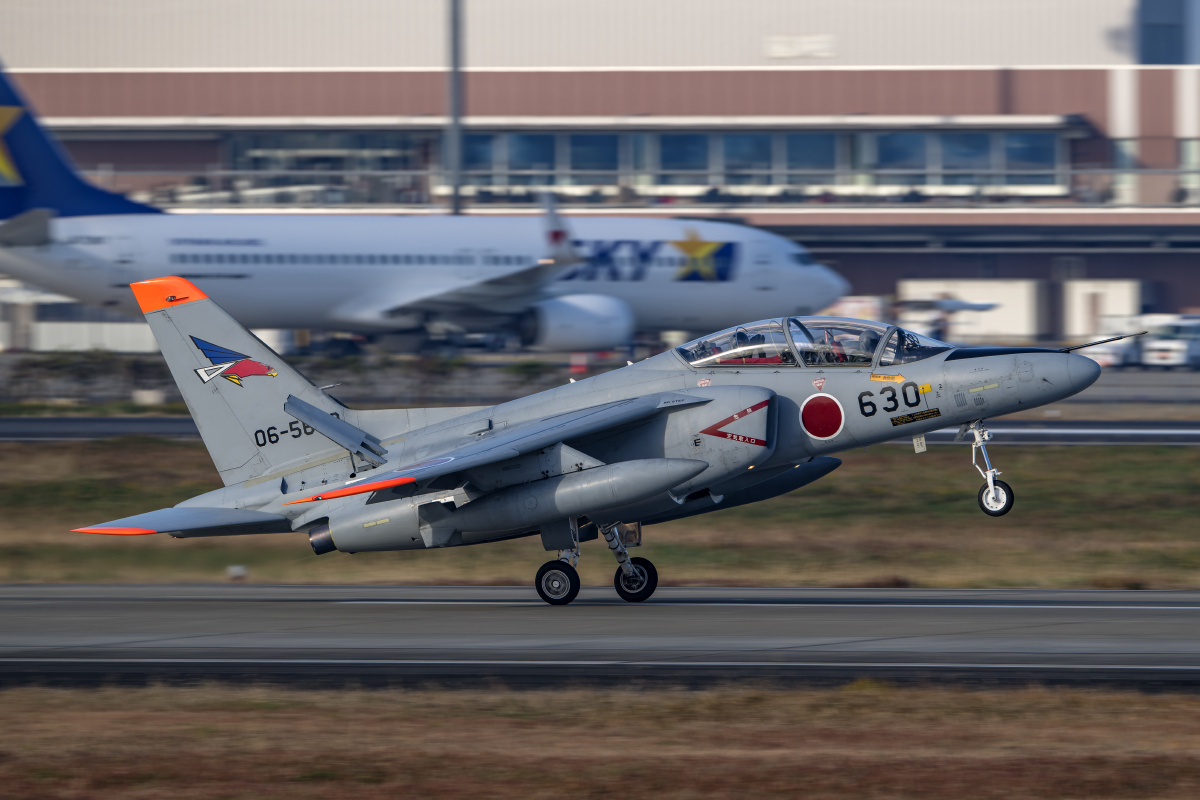 t4教练机百里基地航空祭日本航空自卫队