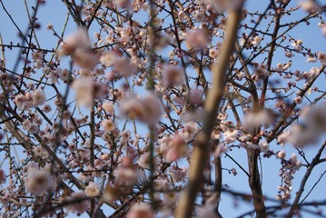 74D329FF-0138-4780-BDD7-CF0116790034/L0/001