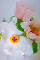 85FB16EA-6C12-4A53-8EE8-D2F72547A53B/L0/001