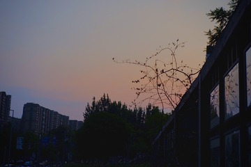 24515C24-8E14-4159-B3D5-D1F951DBED03/L0/001