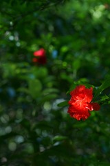 25593FFF-0F22-4930-BB6D-BE87988B1730/L0/001