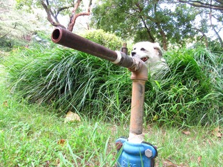 187221