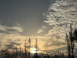 9F44076E-700F-464F-9E73-BA828ACB501D/L0/001