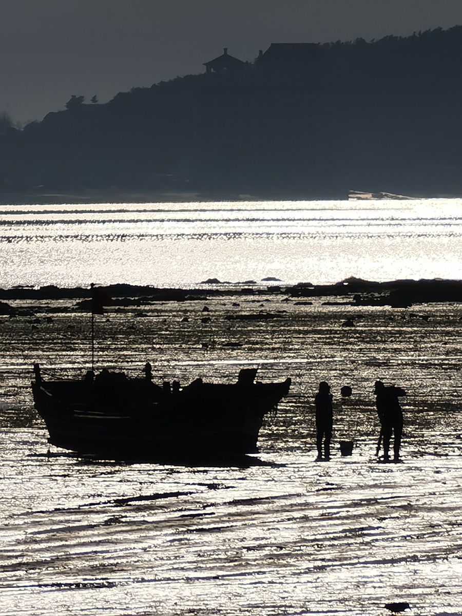 赶海的日子广鹿岛