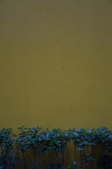 E617EA55-F8C5-4F10-A47B-B2B62F1F9592/L0/001