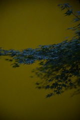 F4F0279F-509C-4DDF-8324-85FFDBEF7623/L0/001