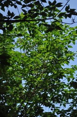 D26723DA-9003-487C-B481-E4B9FB624D14/L0/001