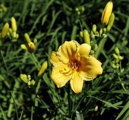 _DSC8433.jpg