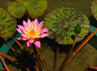 _DSC8898.jpg