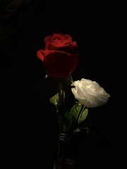 F44B4B13-C11B-4DF0-9322-542DCE118897/L0/001