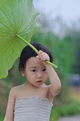 5806EA77-D26E-4A9E-A06B-55F2215AAF4F/L0/001