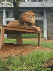 1158