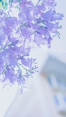 0F80C55C-5804-46A8-9024-A84F059C1590/L0/001