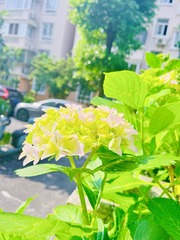 4076C1B7-46E8-406F-B696-63DEA9807B55/L0/001