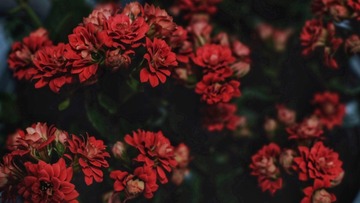 181D36C1-7E8C-4A49-B664-F4CA0838D4D3/L0/001