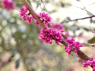 C7470A30-AC74-46F6-8AFC-0DB1A893AB4B/L0/001