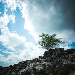 001