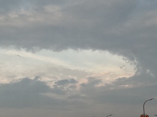 D41C768F-0029-4D7E-B774-2A2BE71DF44D/L0/001