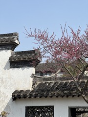 0D0FCB7F-7188-4FE7-BA6C-9F19554E3B70/L0/001