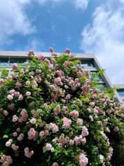 9A5331E9-A798-4FB0-BCA8-9AC5DB679152/L0/001