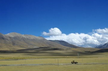 _IGP7576.JPG