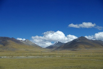 _IGP7583.JPG