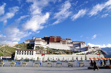 _IGP7702.JPG