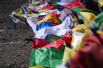 _IGP8011.JPG