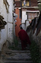 _IGP8398.JPG