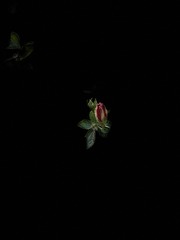7D7E28A1-C348-4868-8260-D318063D6BEE/L0/001