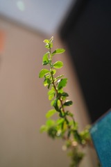 0B23C4CB-1622-4209-96E2-879D3B58308A/L0/001