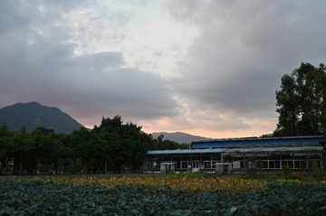 24552